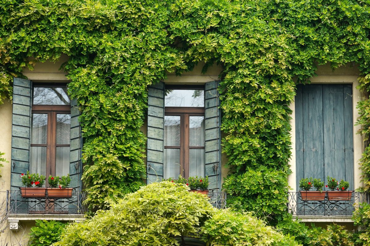 Facade d'une maison avec des volets
