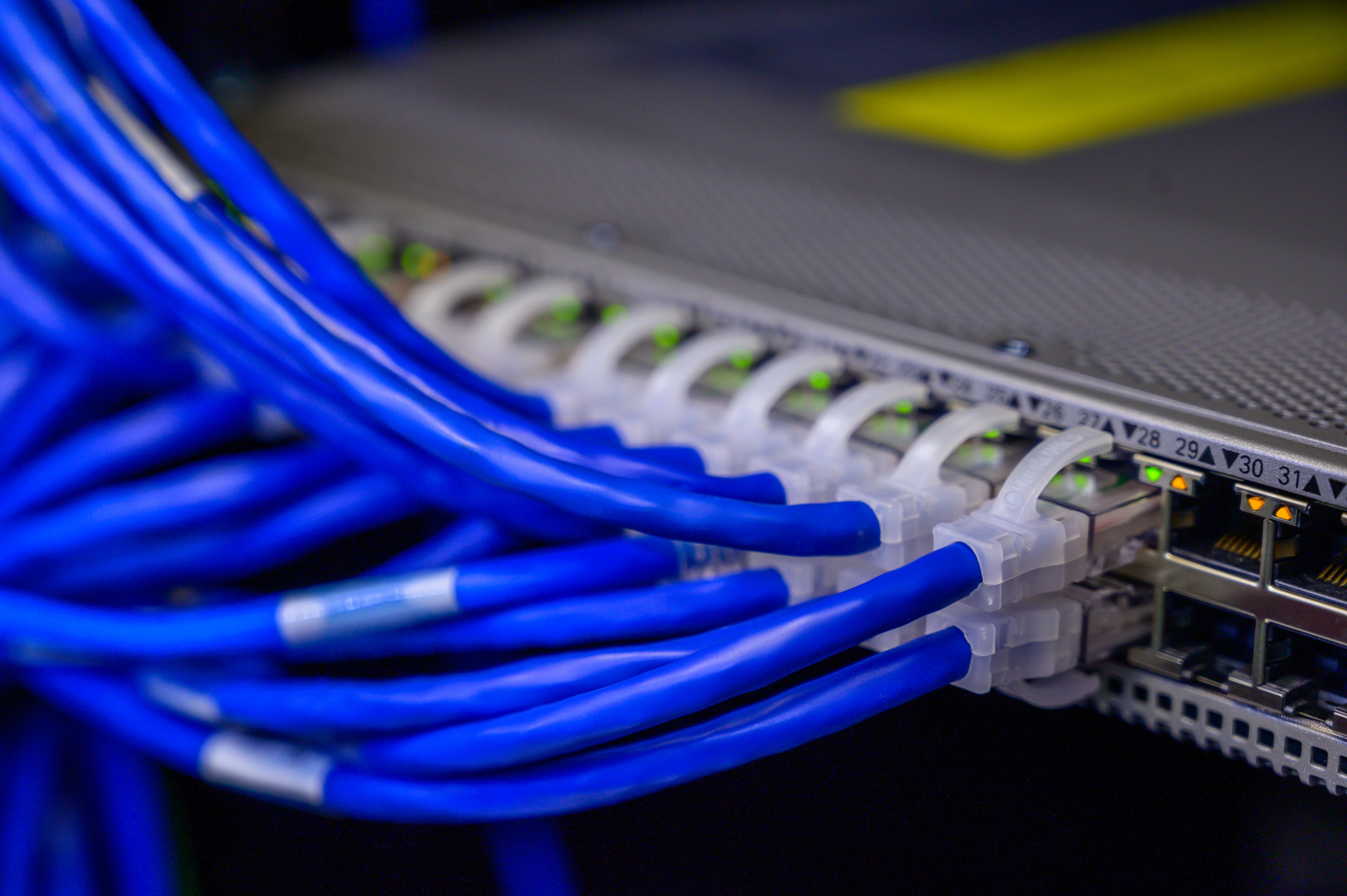 Câbles Ethernet bleus connectés à un switch réseau
